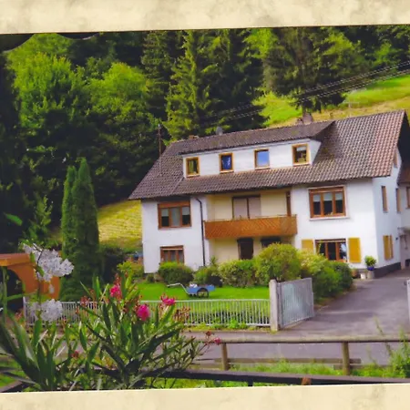 Ferienwohnung, Monteurwohnung - feel at home - Frammersbach Exterior foto
