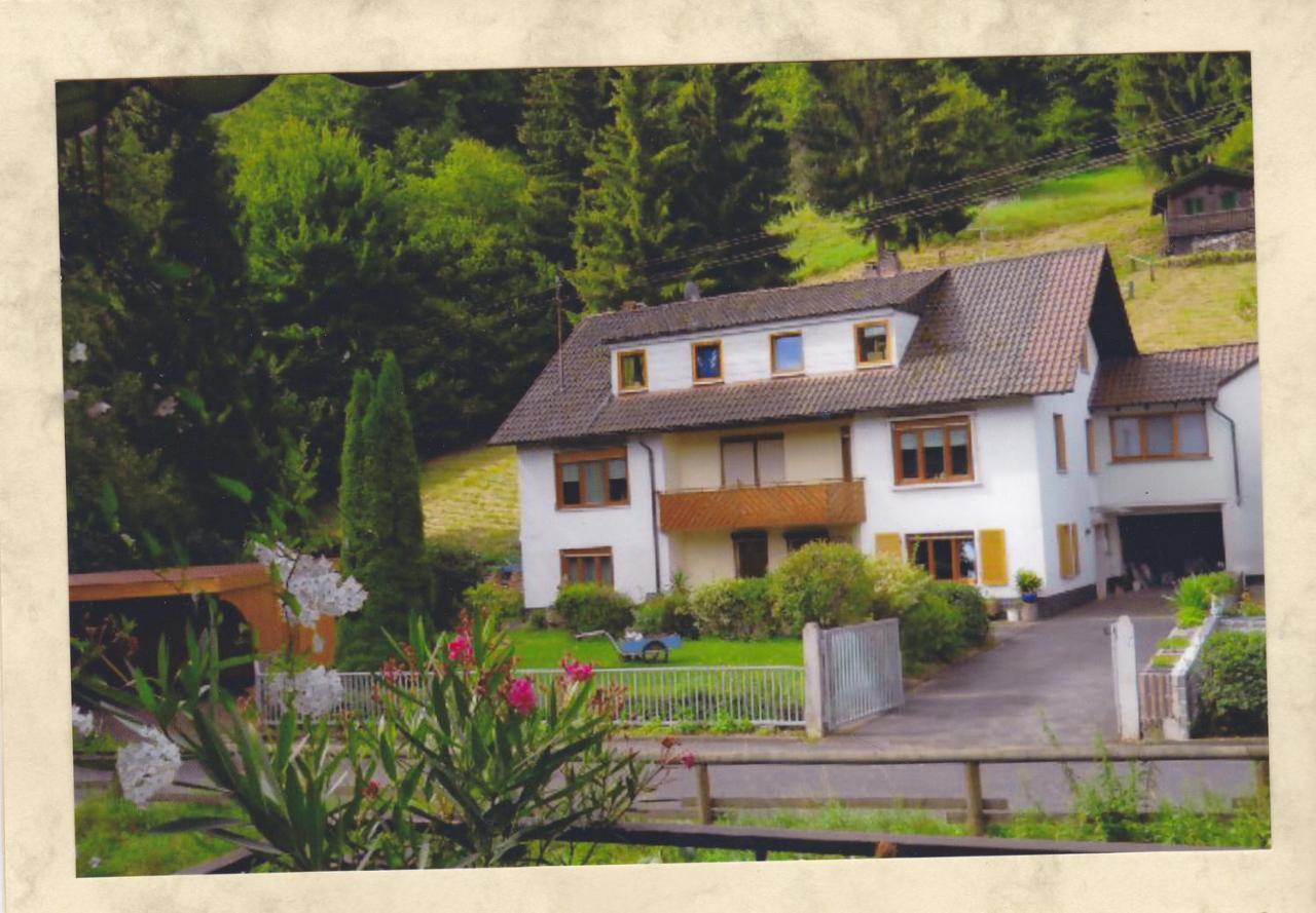 Komfortable Steger Apartment Frammersbach